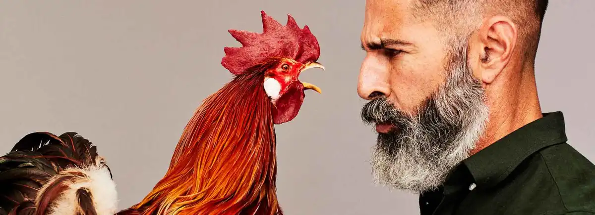 vjezbe za erekciju slika